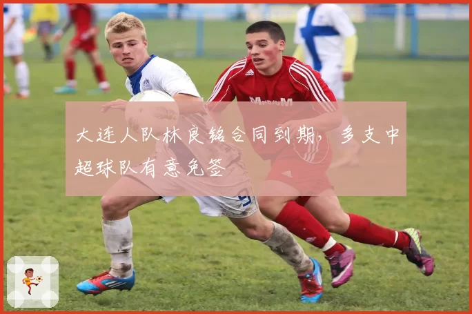 大连人队林良铭合同到期,多支中超球队有意免签