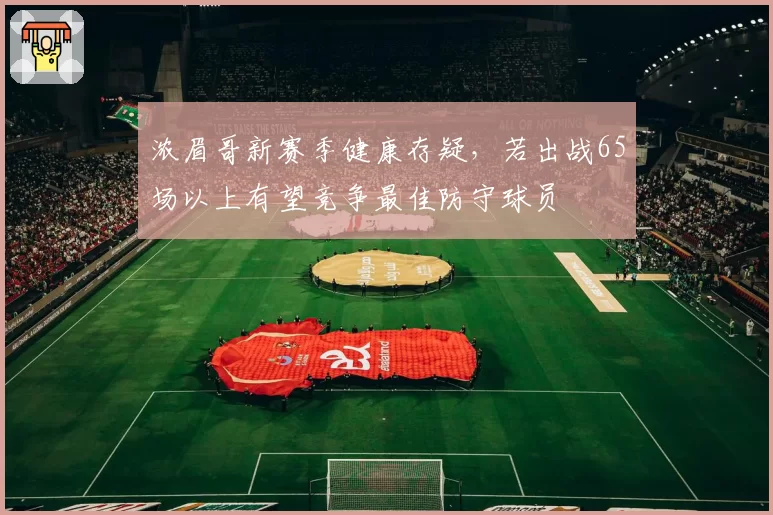 浓眉哥新赛季健康存疑，若出战65场以上有望竞争最佳防守球员