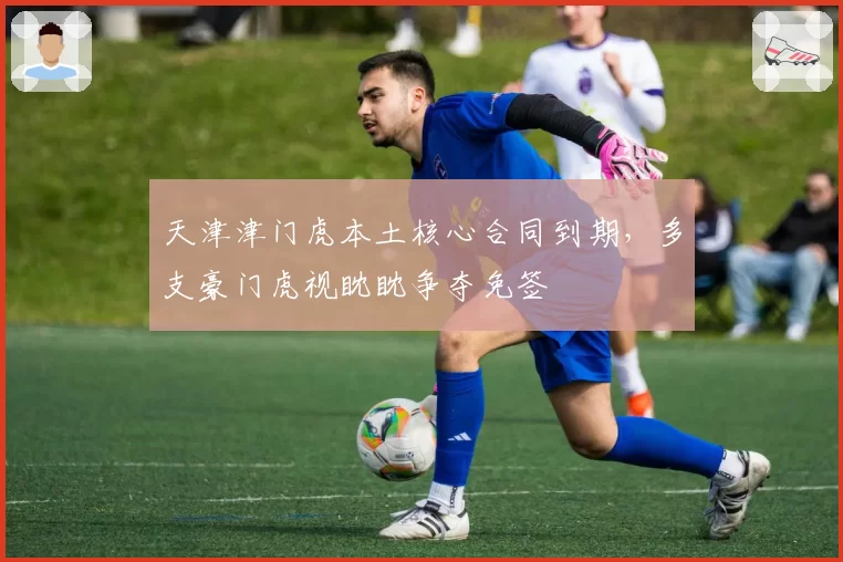 天津津门虎本土核心合同到期,多支豪门虎视眈眈争夺免签