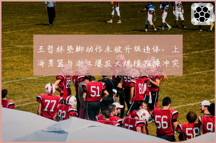 王哲林垫脚动作未被升级违体,上海男篮与浙江爆发大规模推搡冲突