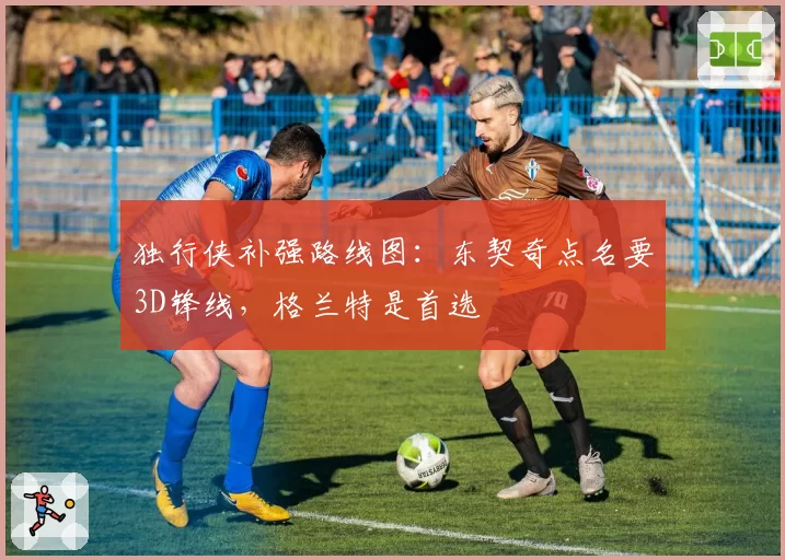独行侠补强路线图：东契奇点名要3D锋线，格兰特是首选