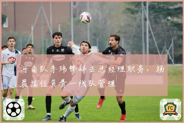 河南队李玮锋辞去总经理职务，杨晨接任负责一线队管理